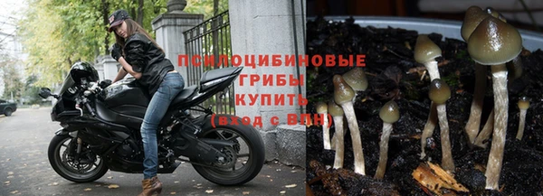 прущие крисы Бронницы