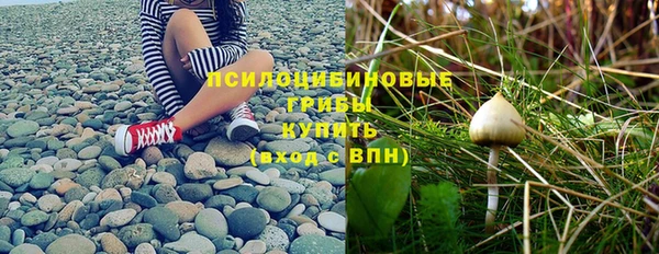 ешки Бугульма