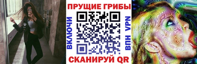 Галлюциногенные грибы MAGIC MUSHROOMS закладка Новоржев
